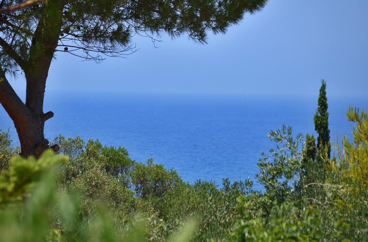 Sole E Mare Apartments Tsilivi  Exteriör bild